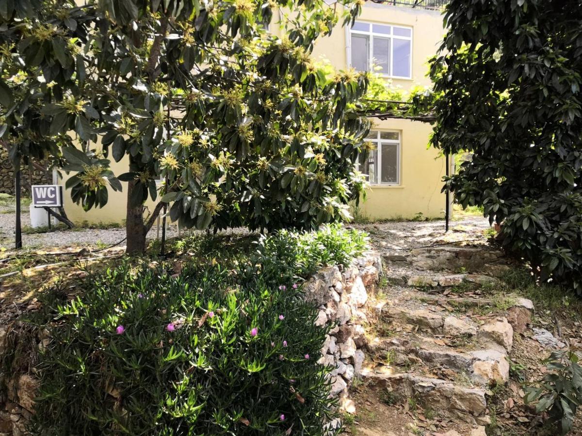 Zeytinada Pansiyon Ve Goezleme Guneykoy Ngoại thất bức ảnh